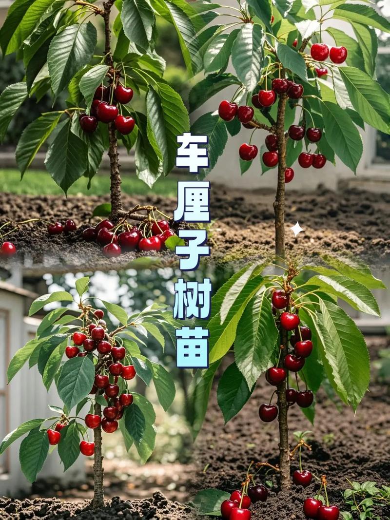 全国新闻 第50页
