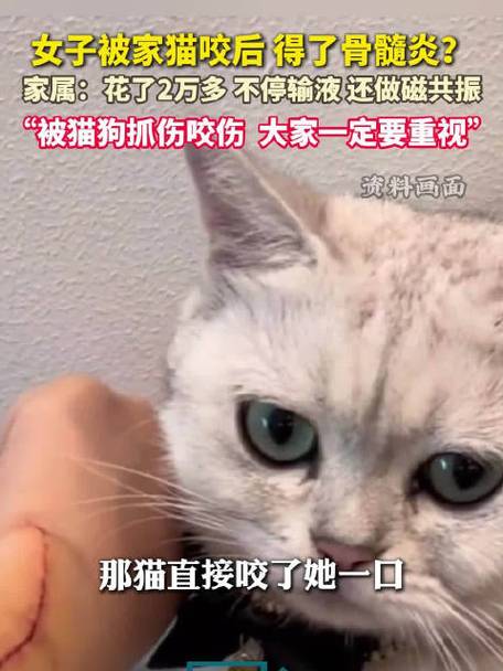 生活资讯 第13页